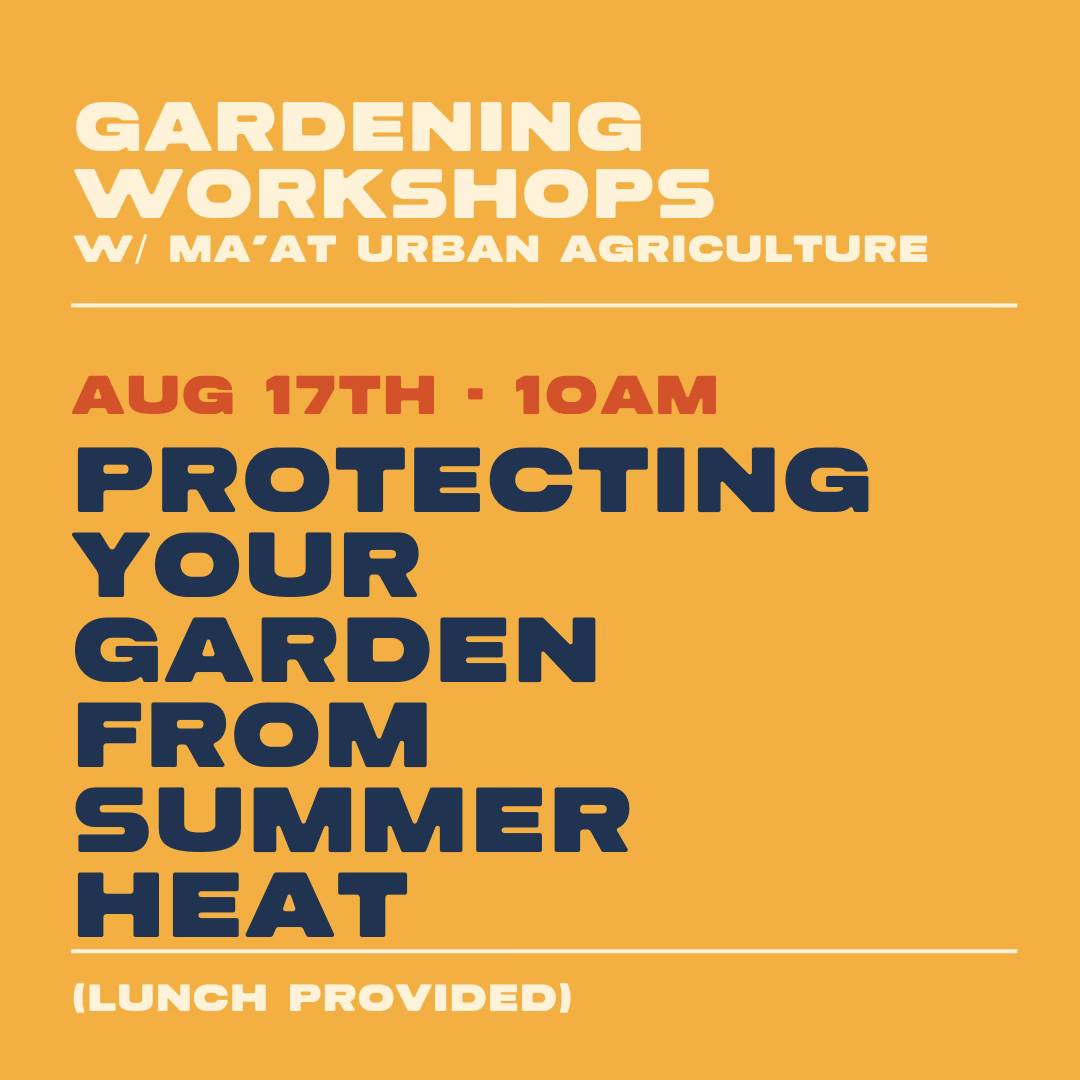 Gardening Workshop: Protecting Your Garden from Summer Heat