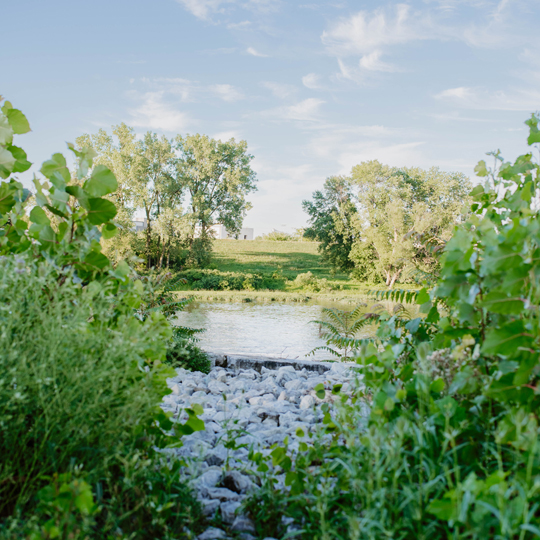 Meditation & Nature Hike